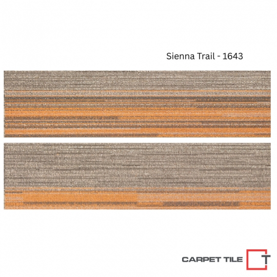 Thảm Tấm Cao Cấp | Coloraxis Carpet Tile
