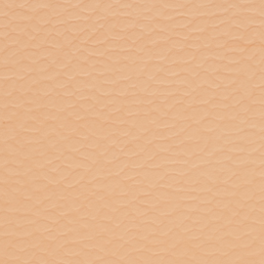 Sàn Cao Su Thể Thao Ramflex | ECOFLOOR