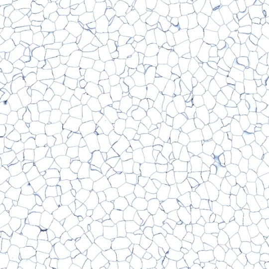 BARNETT T1 & T2 – SÀN VINYL CHỐNG TĨNH ĐIỆN CHO PHÒNG SẠCH CAO CẤP